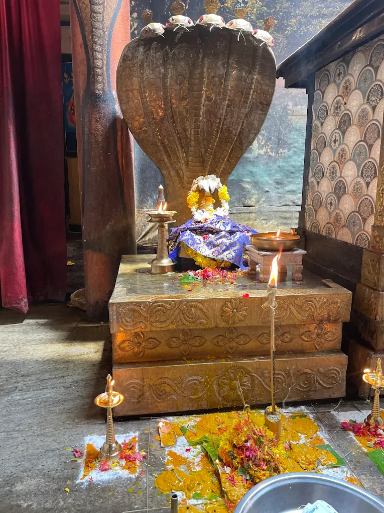 Maha Shivarathri Pooja at Sree Umamaheshwara Swami Temple Kollam Kerala Temple Festival